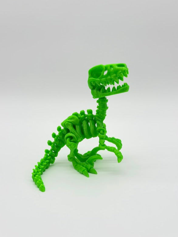 Large Skeleton Dinosaurs