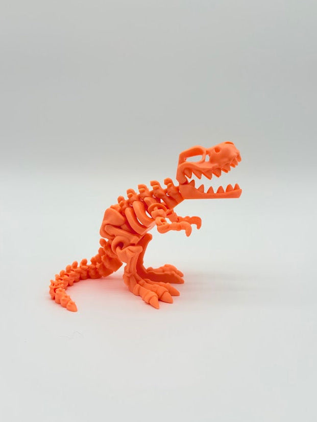 Large Skeleton Dinosaurs