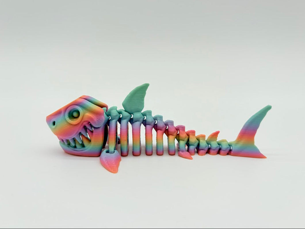 Small Skeleton Shark