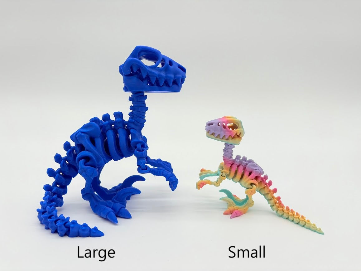 Large Skeleton Dinosaurs