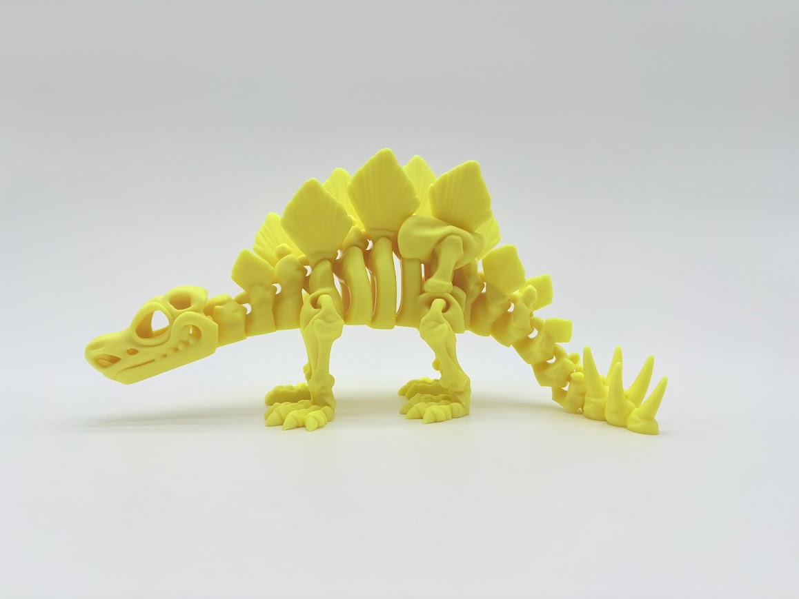 Large Skeleton Dinosaurs