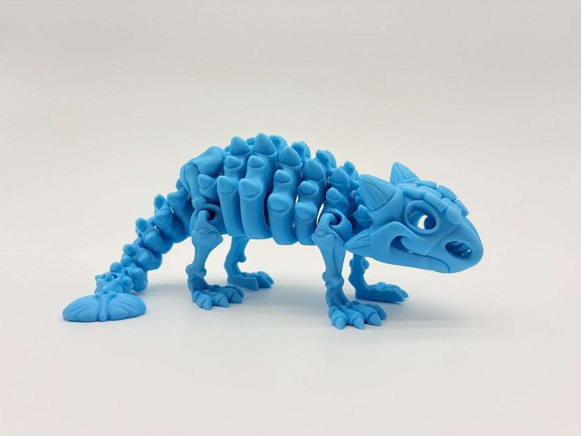 Large Skeleton Dinosaurs