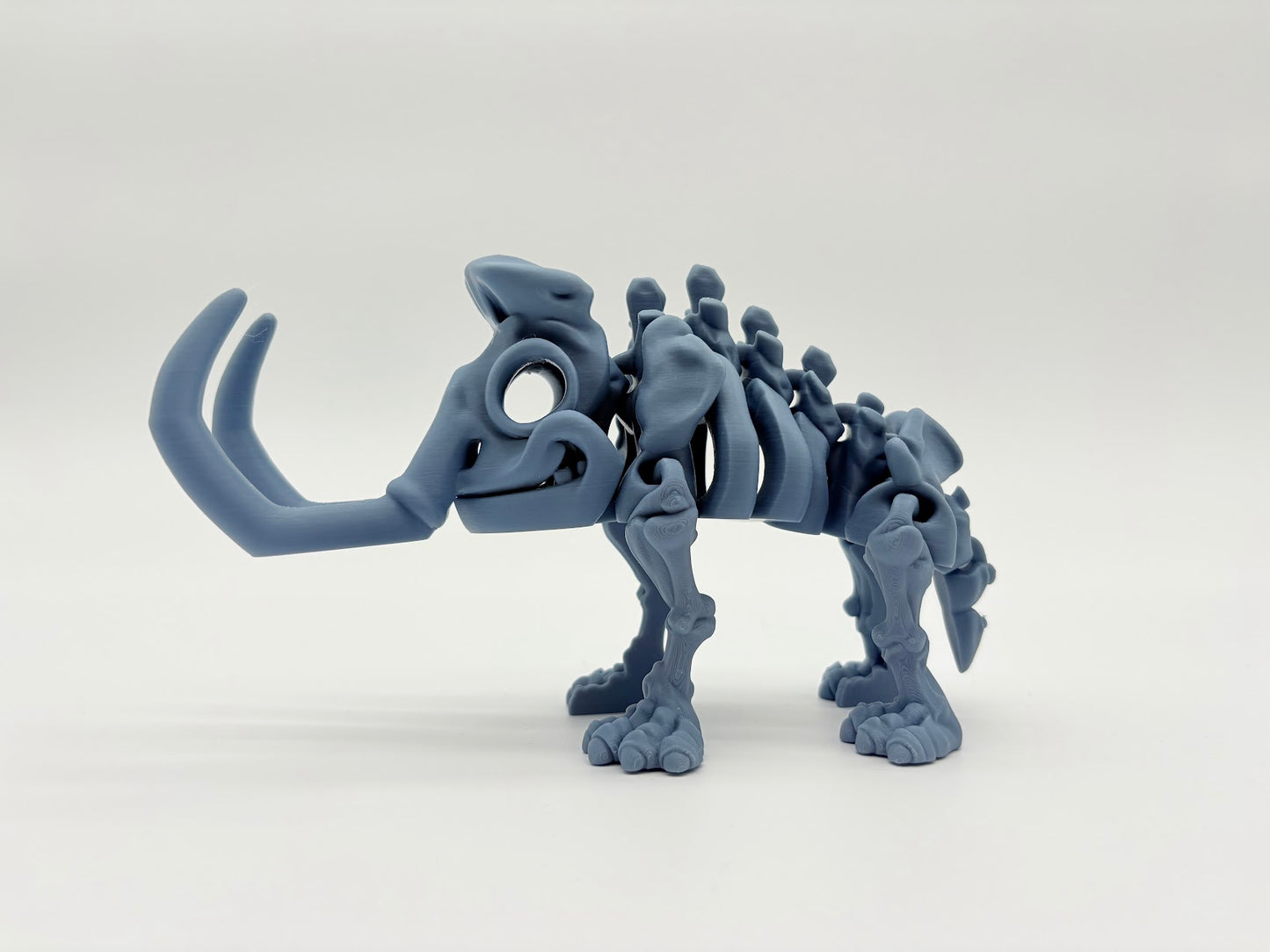Large Skeleton Dinosaurs