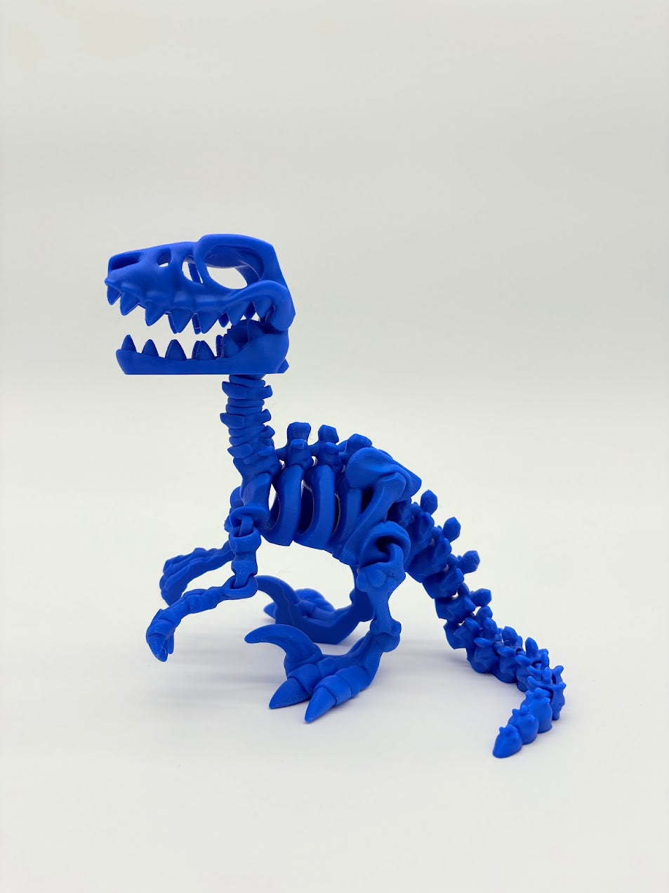 Large Skeleton Dinosaurs
