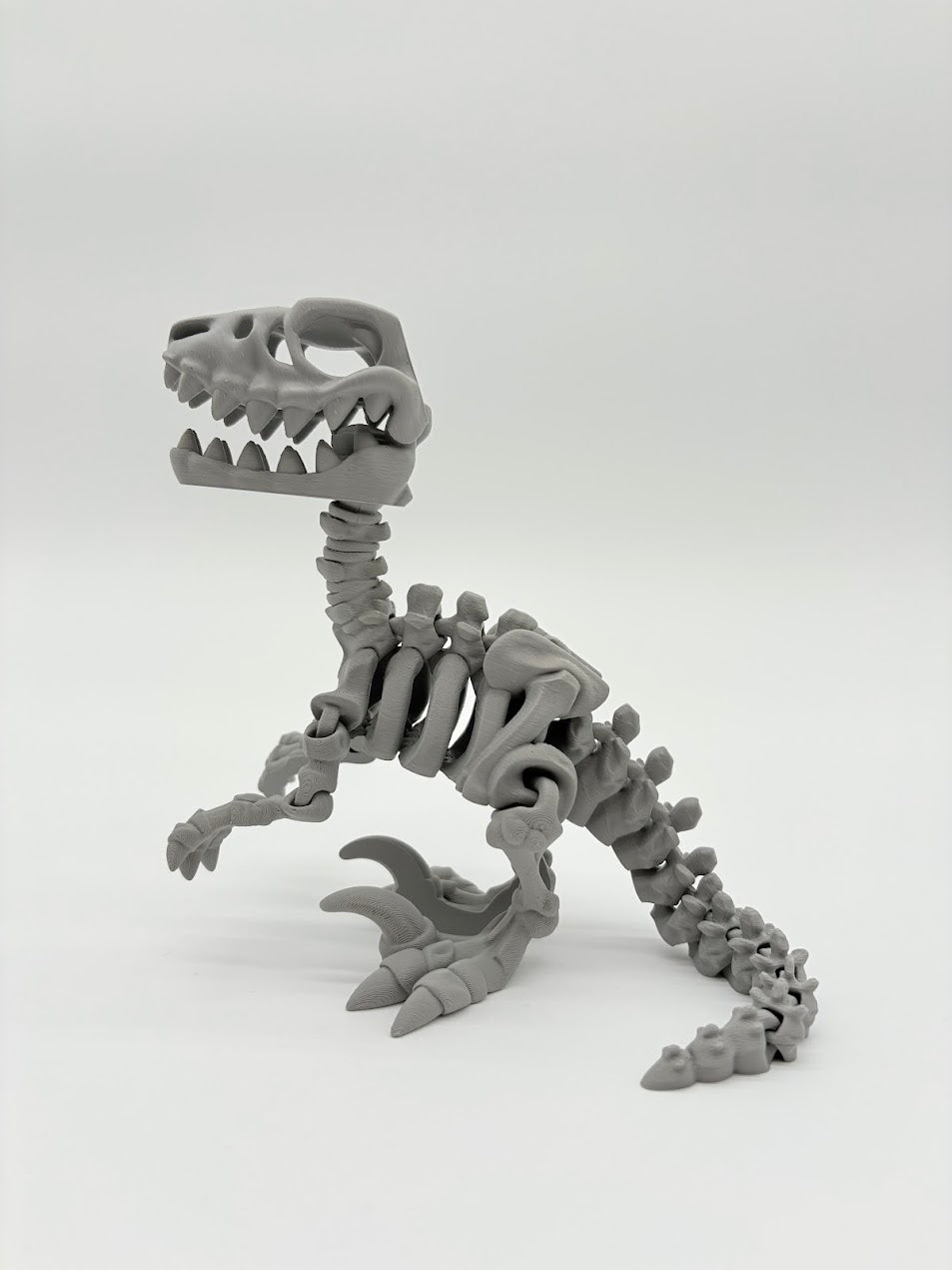 Large Skeleton Dinosaurs