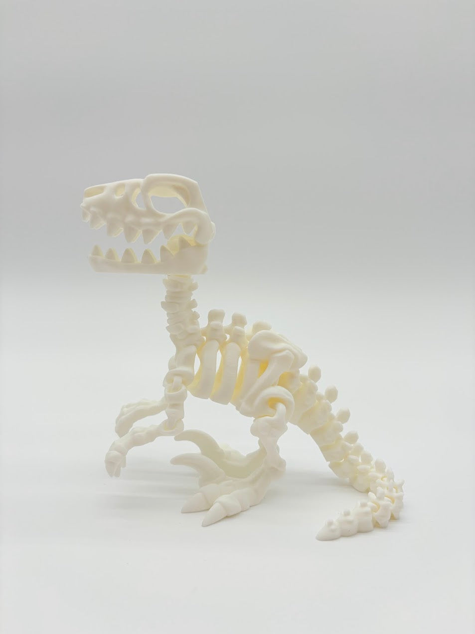 Large Skeleton Dinosaurs