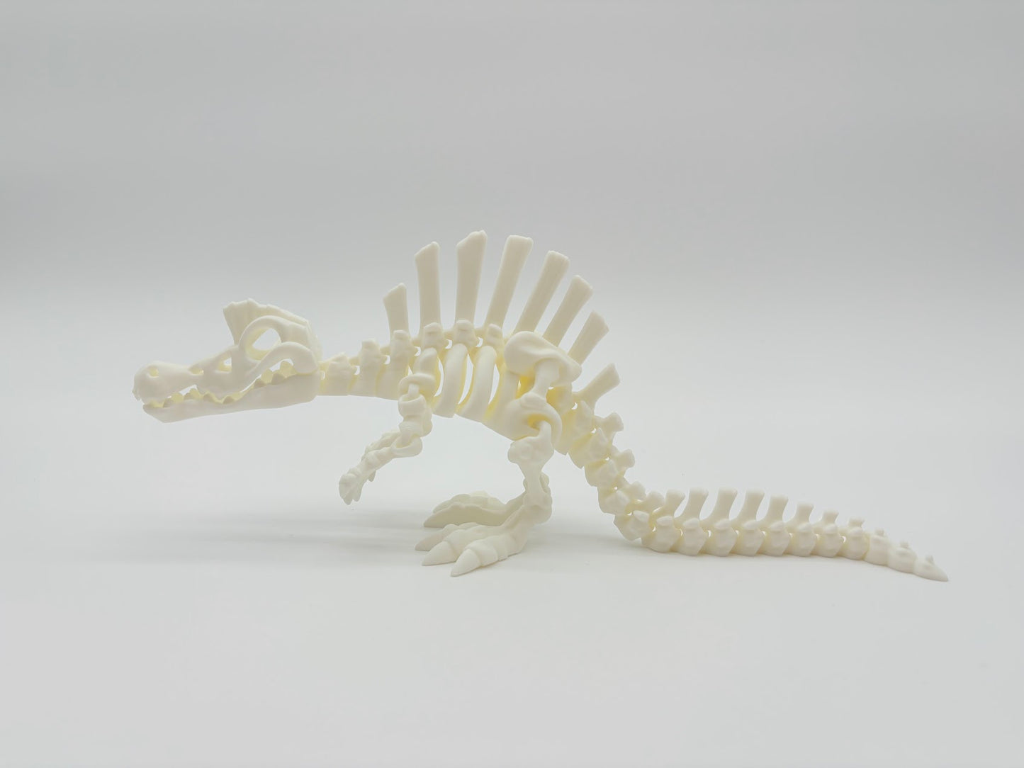 Large Skeleton Dinosaurs