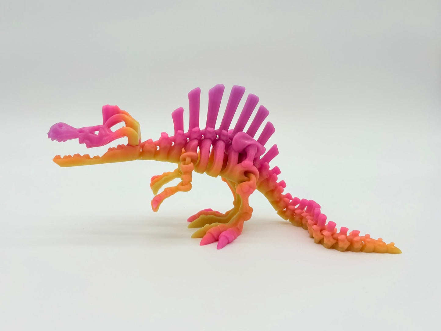 Large Skeleton Dinosaurs
