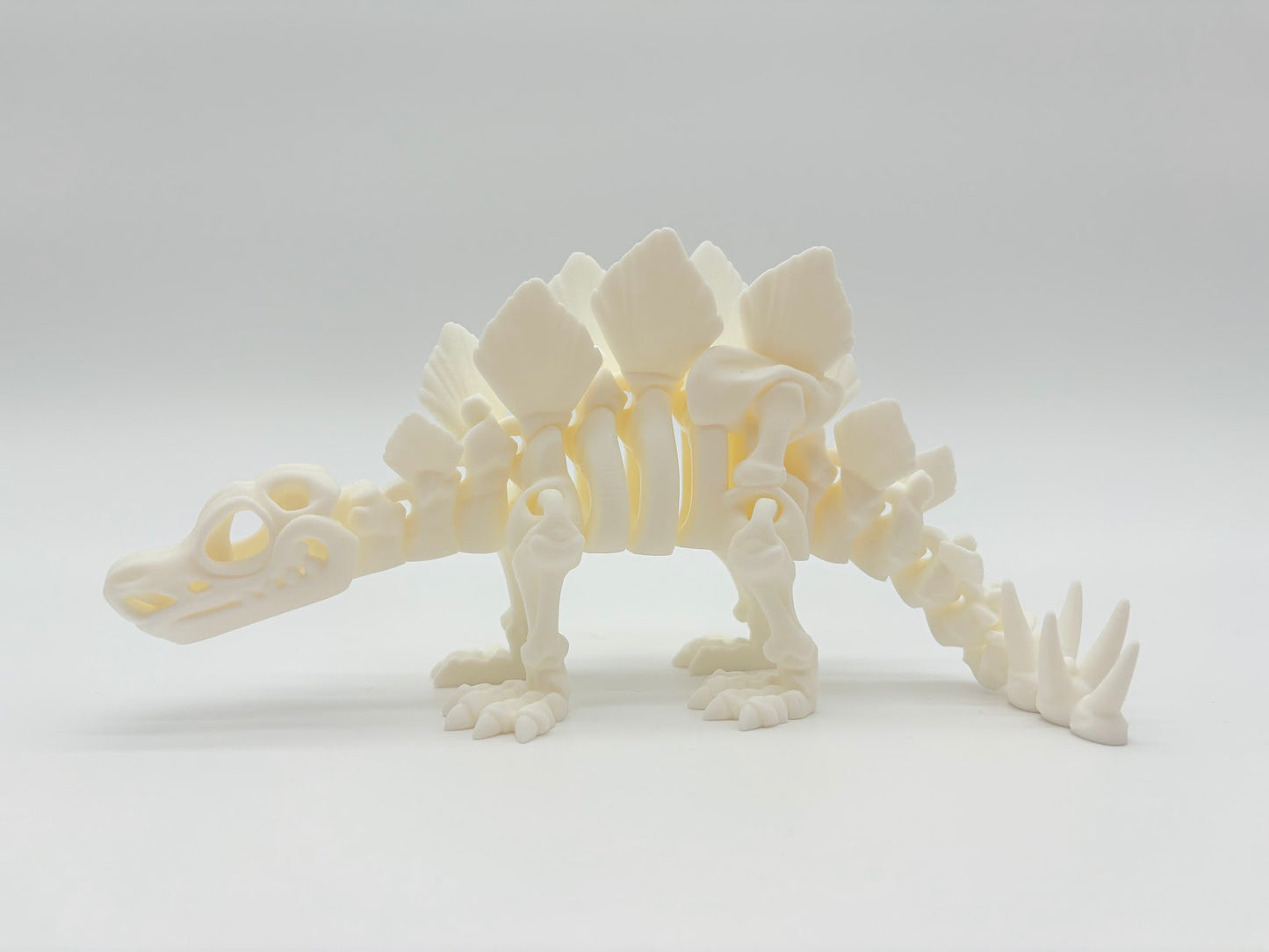 Large Skeleton Dinosaurs