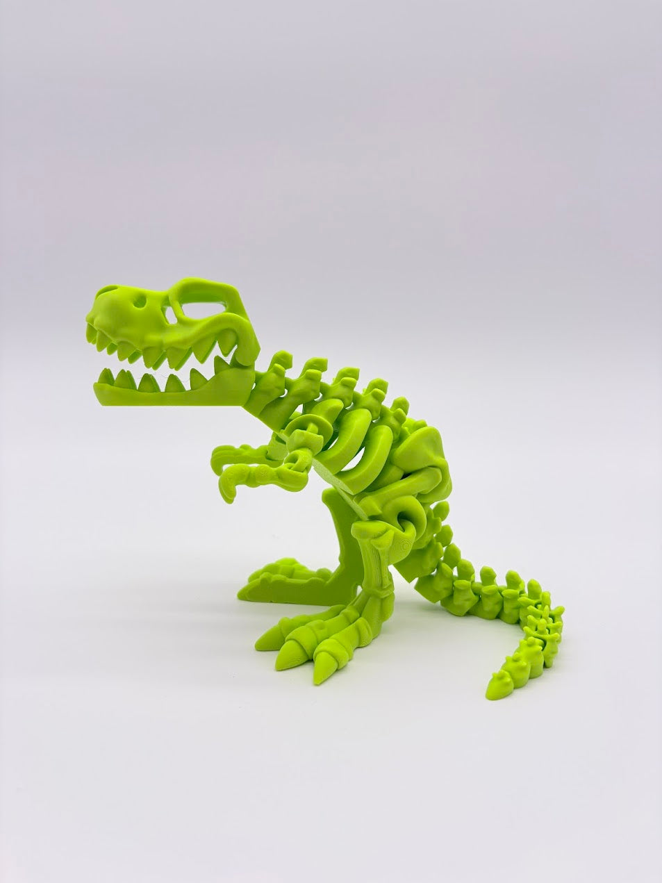 Large Skeleton Dinosaurs