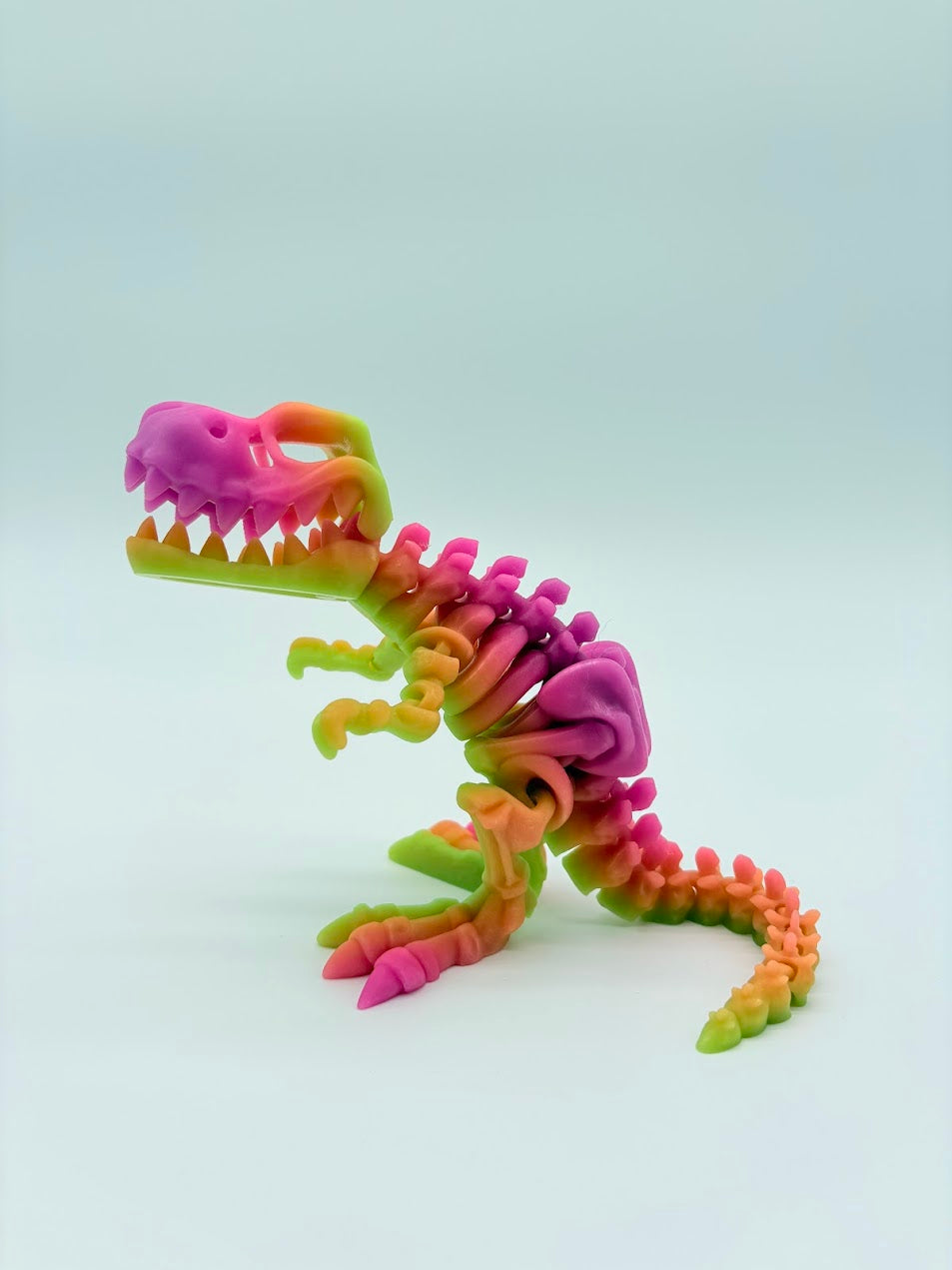 Large Skeleton Dinosaurs