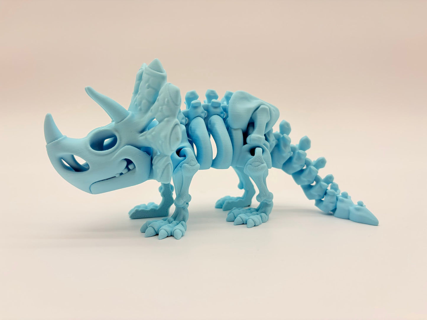 Large Skeleton Dinosaurs
