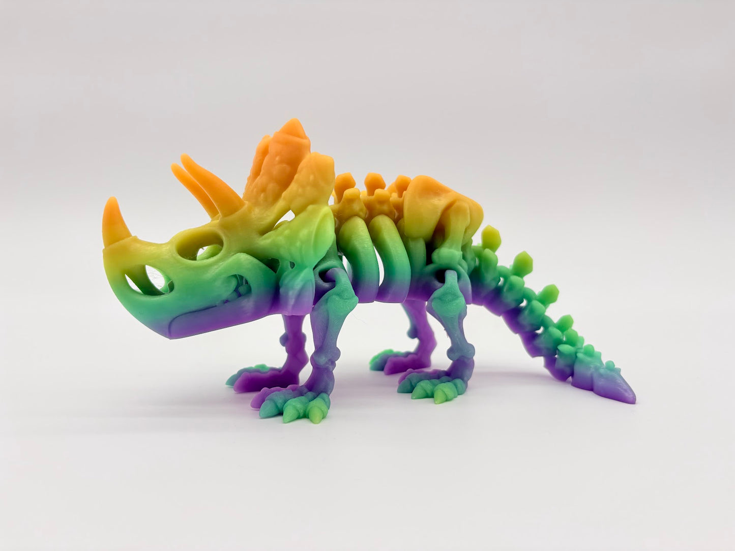 Large Skeleton Dinosaurs