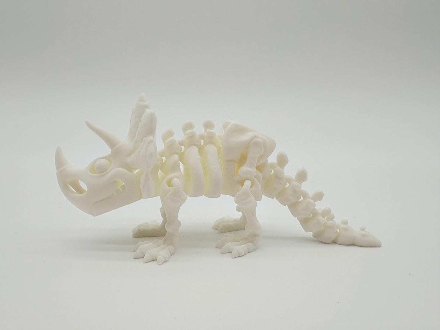 Large Skeleton Dinosaurs