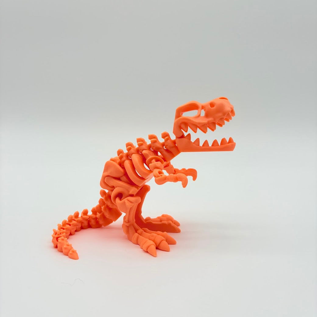 Large Skeleton Dinosaurs