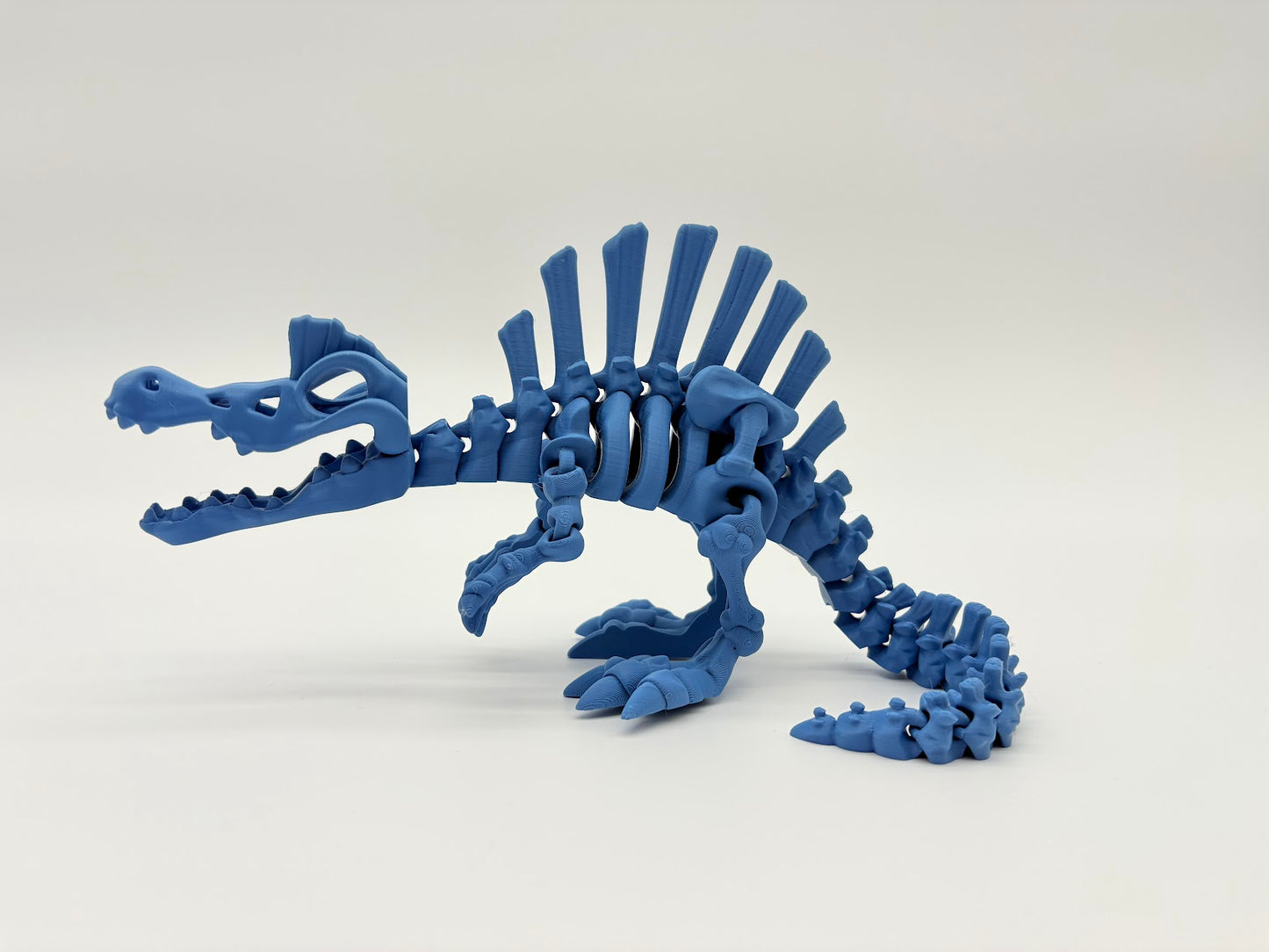 Large Skeleton Dinosaurs