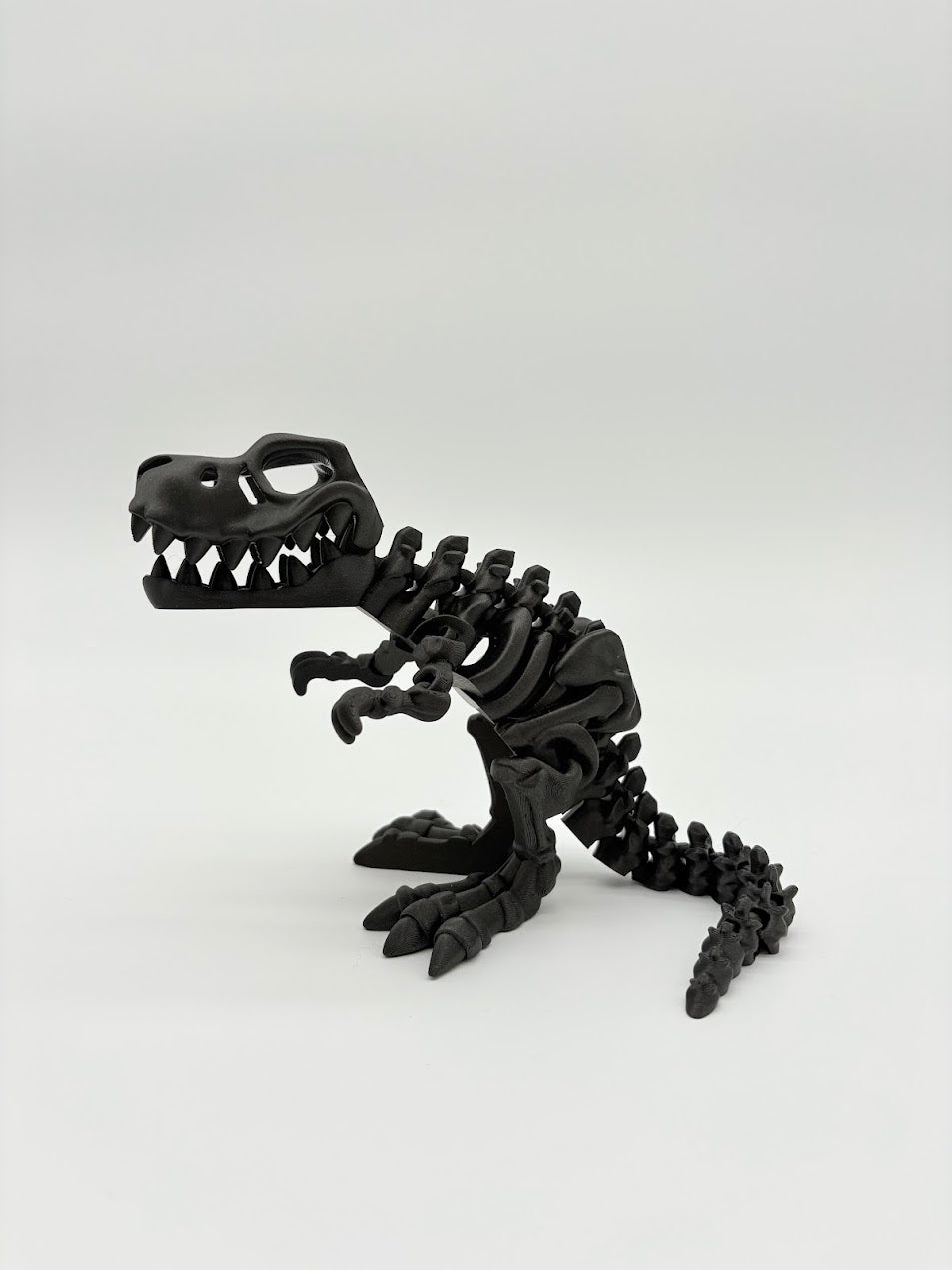 Large Skeleton Dinosaurs